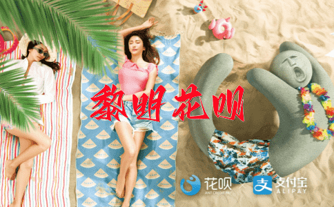 各有所长花呗